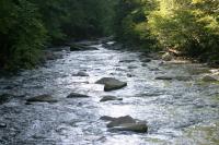 <img200*0:stuff/z/169023/River%2520Stock/i1279572265_29.jpg>