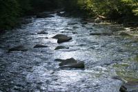 <img200*0:stuff/z/169023/River%2520Stock/i1279572265_30.jpg>