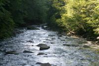 <img200*0:stuff/z/169023/River%2520Stock/i1279572265_31.jpg>