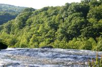 <img200*0:stuff/z/169023/River%2520Stock/i1279572265_32.jpg>
