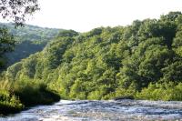 <img200*0:stuff/z/169023/River%2520Stock/i1279572265_33.jpg>