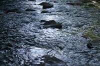 <img200*0:stuff/z/169023/River%2520Stock/i1279572265_34.jpg>