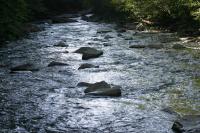 <img200*0:stuff/z/169023/River%2520Stock/i1279572265_36.jpg>