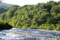 <img200*0:stuff/z/169023/River%2520Stock/i1279572266_38.jpg>