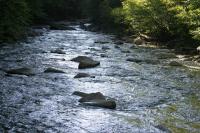 <img200*0:stuff/z/169023/River%2520Stock/i1279572266_40.jpg>