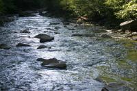 <img200*0:stuff/z/169023/River%2520Stock/i1279572266_41.jpg>