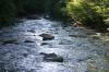 <img100*0:stuff/z/169023/River1/i1279841869_5.jpg>