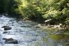 <img100*0:stuff/z/169023/River1/i1279841869_6.jpg>