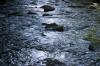 <img100*0:stuff/z/169023/River1/i1279841870_10.jpg>