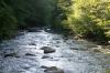 <img100*0:stuff/z/169023/River1/i1279841870_11.jpg>