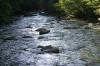 <img100*0:stuff/z/169023/River1/i1279841870_12.jpg>