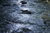 <img100*0:stuff/z/169023/River1/i1279841870_16.jpg>