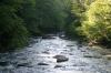 <img100*0:stuff/z/169023/River1/i1279841870_7.jpg>