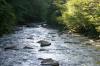 <img100*0:stuff/z/169023/River1/i1279841871_17.jpg>