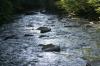 <img100*0:stuff/z/169023/River1/i1279841871_18.jpg>