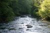 <img100*0:stuff/z/169023/River1/i1279841871_19.jpg>