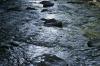 <img100*0:stuff/z/169023/River1/i1279841871_22.jpg>