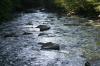 <img100*0:stuff/z/169023/River1/i1279841871_24.jpg>