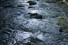 <img100*0:stuff/z/169023/River1/i1279841872_28.jpg>