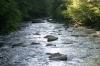 <img100*0:stuff/z/169023/River1/i1279841872_29.jpg>