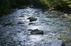 <img100*0:stuff/z/169023/River1/i1279841872_30.jpg>