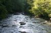 <img100*0:stuff/z/169023/River1/i1279841872_31.jpg>