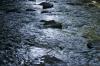 <img100*0:stuff/z/169023/River1/i1279841872_34.jpg>