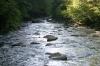 <img100*0:stuff/z/169023/River1/i1279841872_35.jpg>
