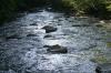<img100*0:stuff/z/169023/River1/i1279841872_36.jpg>
