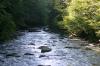<img100*0:stuff/z/169023/River1/i1279841872_37.jpg>