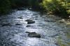 <img100*0:stuff/z/169023/River1/i1279841873_40.jpg>