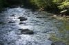 <img100*0:stuff/z/169023/River1/i1279841873_41.jpg>