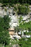 <img100*0:stuff/z/169023/Rock%2520Face%25202/i1278951739_1.jpg>