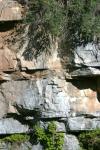 <img100*0:stuff/z/169023/Rock%2520Face%25202/i1278951739_4.jpg>