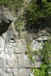 <img100*0:stuff/z/169023/Rock%2520Face%25202/i1278951740_11.jpg>