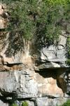 <img100*0:stuff/z/169023/Rock%2520Face%25202/i1278951740_14.jpg>