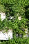 <img100*0:stuff/z/169023/Rock%2520Face%25202/i1278951740_5.jpg>