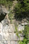 <img100*0:stuff/z/169023/Rock%2520Face%25202/i1278951740_6.jpg>