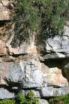 <img100*0:stuff/z/169023/Rock%2520Face%25202/i1278951740_9.jpg>