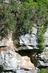 <img100*0:stuff/z/169023/Rock%2520Face%25202/i1278951741_19.jpg>