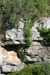 <img100*0:stuff/z/169023/Rock%2520Face%25202/i1278951741_24.jpg>
