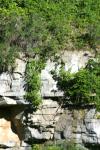 <img100*0:stuff/z/169023/Rock%2520Face%25202/i1278951742_29.jpg>