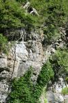 <img100*0:stuff/z/169023/Rock%2520Face%25202/i1278951742_30.jpg>