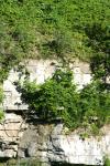 <img100*0:stuff/z/169023/Rock%2520Face%25202/i1278951742_34.jpg>