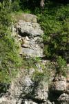 <img100*0:stuff/z/169023/Rock%2520Face%25202/i1278951743_35.jpg>