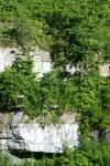 <img100*0:stuff/z/169023/Rock%2520Face%25202/i1278951743_39.jpg>