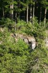 <img100*0:stuff/z/169023/Rock%2520Face%25202/i1278951743_40.jpg>