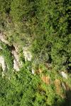 <img100*0:stuff/z/169023/Rock%2520Face/i1278951596_1.jpg>