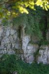 <img100*0:stuff/z/169023/Rock%2520Face/i1278951596_4.jpg>