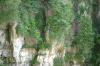 <img100*0:stuff/z/169023/Rock%2520Face/i1278951596_5.jpg>